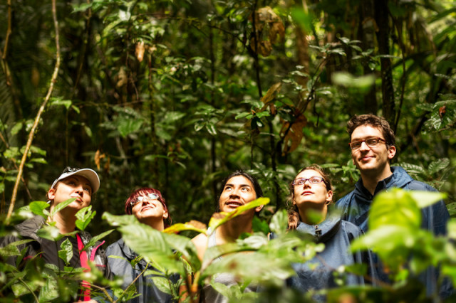 Staunen im ecuadorianischen Dschungel