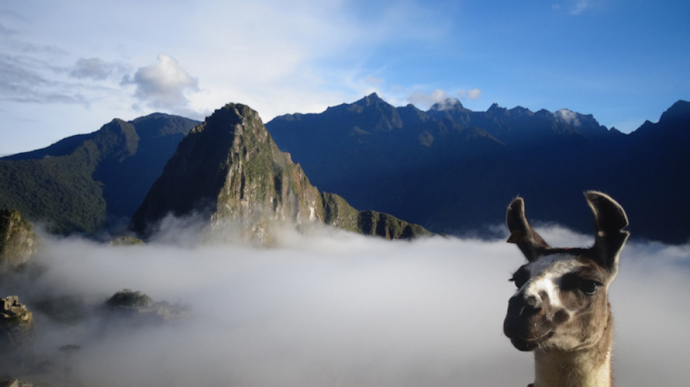 Machu Picchu ()