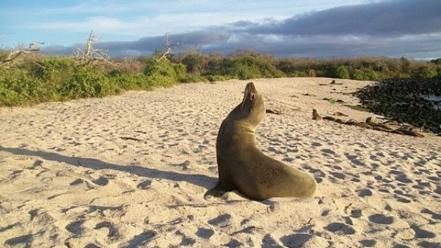 <strong>Inselhopping Galápagos 15 Tage</strong>