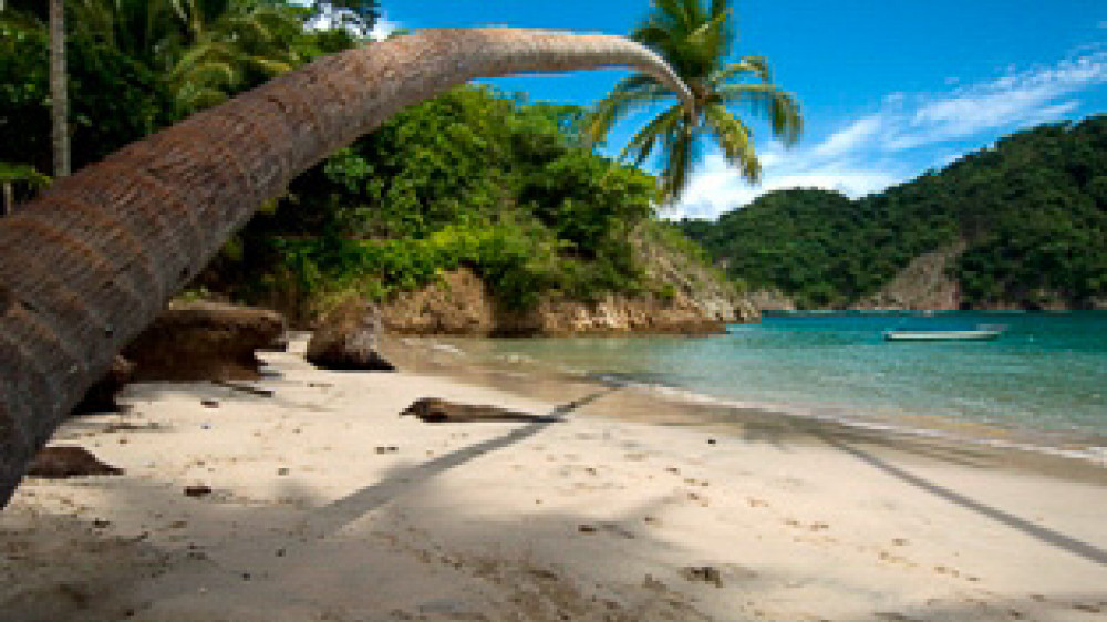 Kleine Bucht mit Kokospalmen an der Pazifikkste von Costa Rica ()