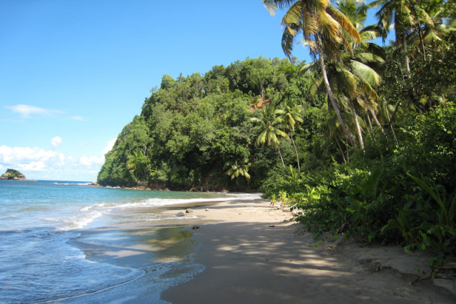 Strand auf Dominica